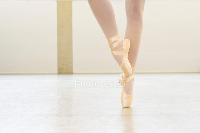 Arnhem, Pays-Bas. Portrait d'une jeune danseuse de ballet et étudiante, pratiquant au sein de l'Academy Ballet Studio. — Photo de stock
