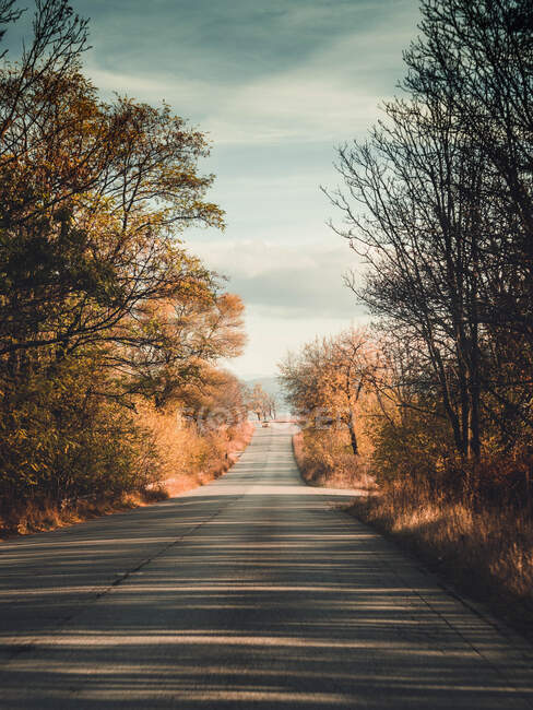 Road through rural landscape, Iskar, Bulgaria — Stock Photo
