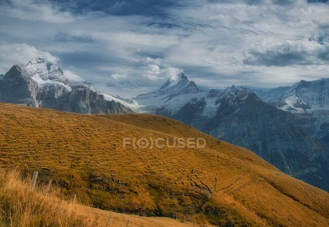 Vista para a paisagem montanhosa de Mt First, Grindelwald, Suíça — Fotografia de Stock