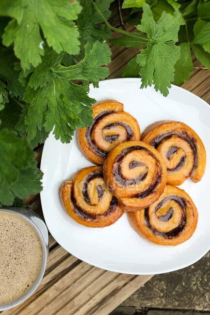 Cup of coffee and a plate of cinnamon rolls in the garden — Stock Photo