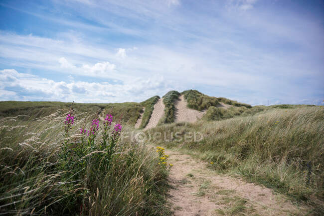 Пляжний пейзаж, Аберледі Бей, Східний Лотіан, Шотландія, Велика Британія — стокове фото