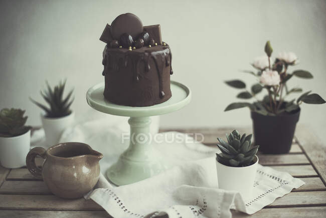 Bolo de chocolate em um cakestand e fábricas em uma mesa — Fotografia de Stock