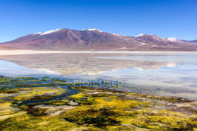 Mountain reflections in a lake, Altiplano, Bolivia — Stock Photo