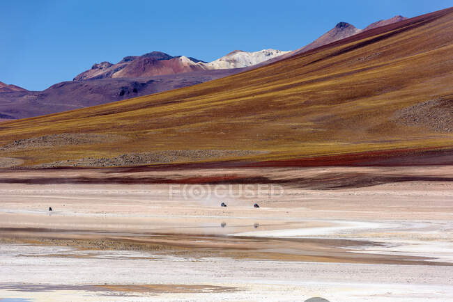 Tre veicoli 4x4 che guidano nell'Altiplano, Bolivia — Foto stock