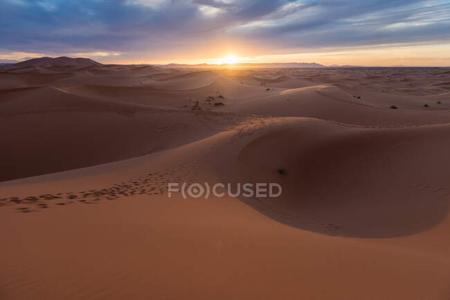 Піщані дюни пустелі Сахара на заході сонця (Марокко). — стокове фото