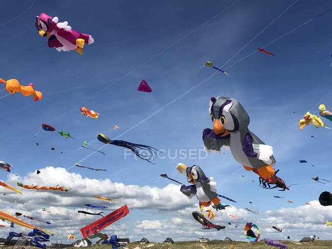 Drachen fliegen am Himmel beim Drachenfest auf Fanø, Dänemark — Stockfoto