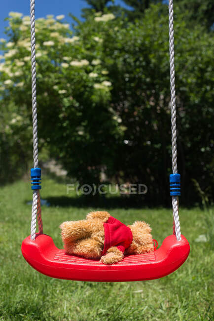 Teddy bear lying on a swing — Stock Photo