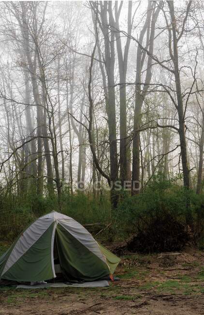 Tent in the woods, Fort Custer State Recreational Area, Indiana, United States — Stock Photo