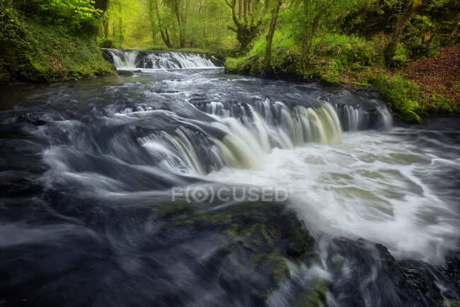 Largo tiro de exposición del río que fluye sobre rocas en el bosque, Irlanda - foto de stock