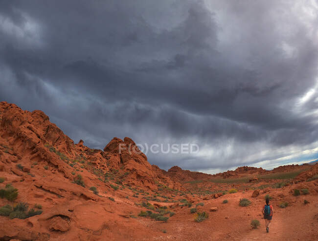 Bela vista da paisagem do deserto, natureza, conceito de viagem — Fotografia de Stock
