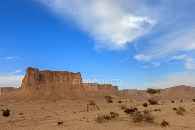 View of the desert and the mountains of the negev valley in the namib park, arizona — Stock Photo