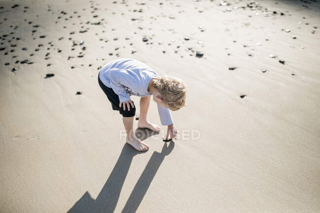 Boy coleccionando conchas en la playa, Laguna Beach, California, Estados Unidos - foto de stock