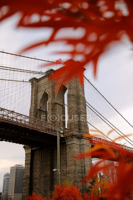 El otoño sale frente al puente de Brooklyn, Nueva York, Estados Unidos - foto de stock