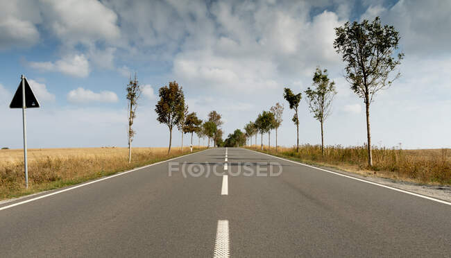 Carretera a través del paisaje rural, Elbingerode, Harz, Sajonia-Anhalt, Alemania - foto de stock