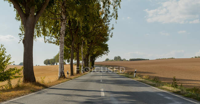 Road through rural landscape, Bad Sachsa, Gottingen, Lower Saxony, Germany — Stock Photo