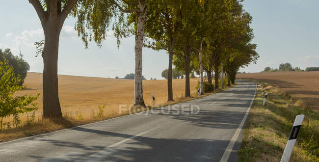 Strada attraverso il paesaggio rurale, Bad Sachsa, Gottingen, Bassa Sassonia, Germania — Foto stock