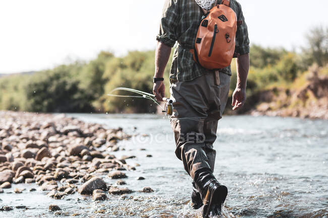 Pêcheur à la mouche marchant dans la rivière, Wyoming, États-Unis — Photo de stock