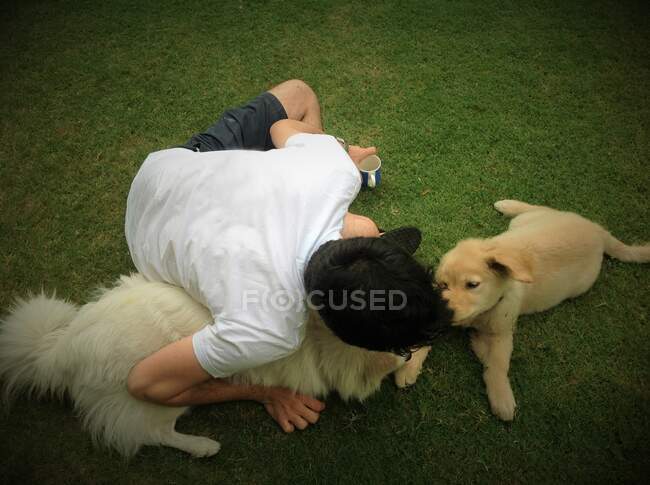 Junger Mann liegt auf Gras und spielt mit seinen beiden Hunden — Stockfoto