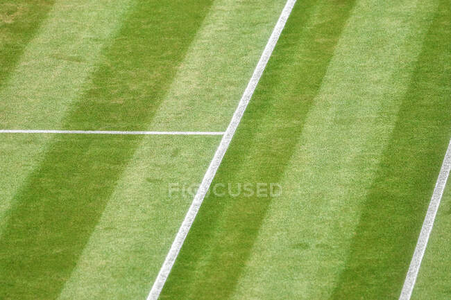 Primer plano de una pista de tenis de hierba - foto de stock