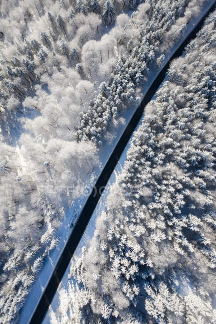 Luftaufnahme einer Straße durch verschneiten Wald, Gaisberg, Salzburg, Österreich — Stockfoto