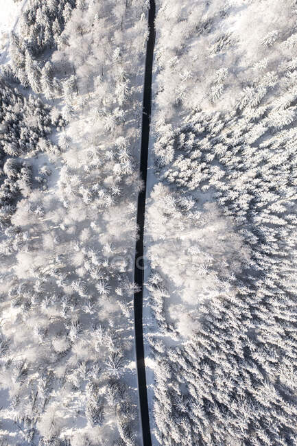 Вид с воздуха на дорогу через заснеженный лес, Гайсберг, Зальцбург, Австрия — стоковое фото