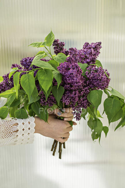 Mains féminines tenant bouquet de fleurs lilas — Photo de stock