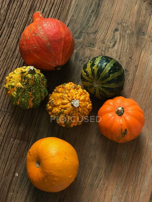 Six pumpkins on a table — Stock Photo