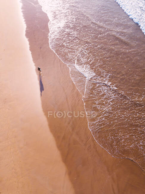 Vista aérea del hombre con surf caminando a lo largo de la playa 13, Victoria, Australia - foto de stock