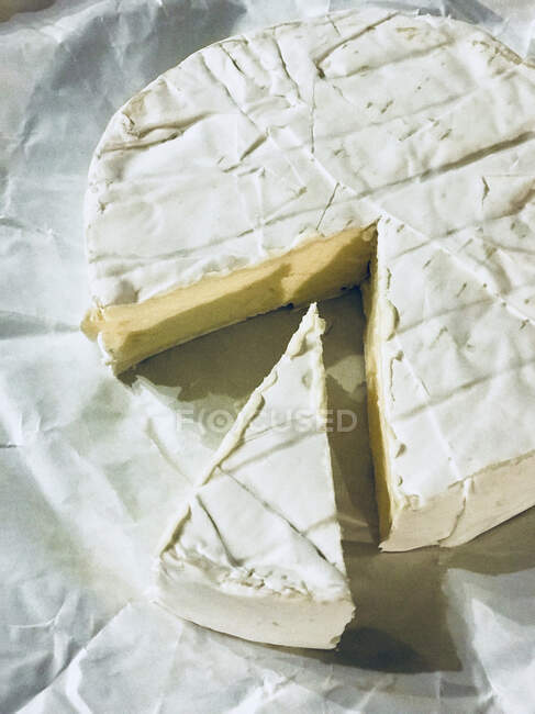 Primer plano de un queso brie - foto de stock
