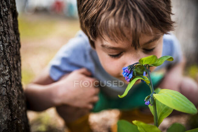 Happy little boy smelling flower — Stock Photo
