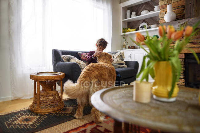 Мальчик сидит на диване и гладит собаку в гостиной — стоковое фото