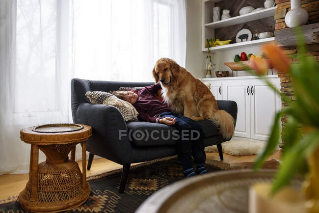 Мальчик ласкает собаку на диване в гостиной — стоковое фото