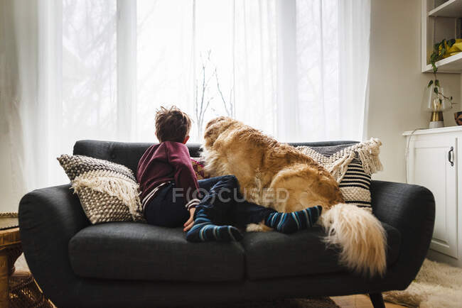 Мальчик и собака на диване смотрят в окно — стоковое фото