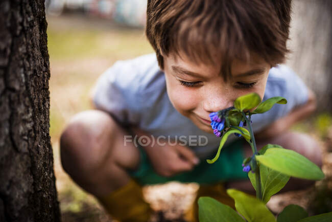 Feliz menino cheirando flor — Fotografia de Stock