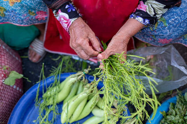 Overhead view of a woman sitting in a market holding fresh herbs, Thailand — Stock Photo