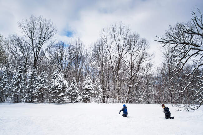 Два мальчика устроили драку со снежком, сша — стоковое фото