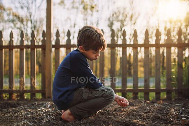 Menino plantando sementes em um jardim, Estados Unidos — Fotografia de Stock