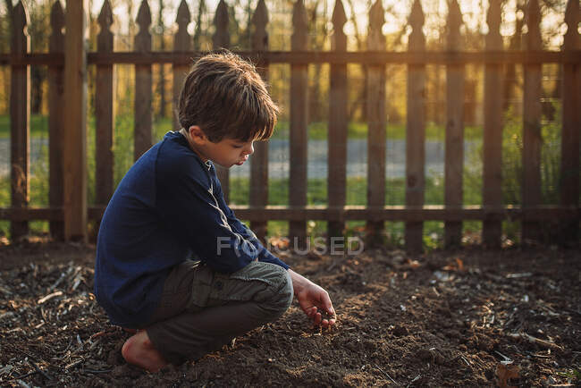 Garçon plantant des graines dans un jardin, États-Unis — Photo de stock