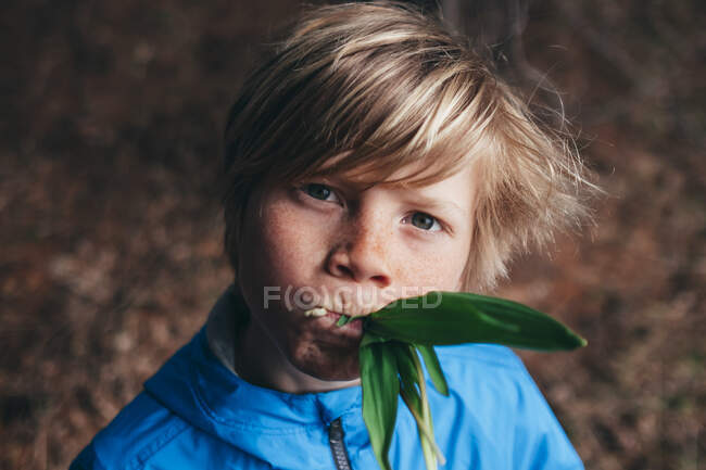 Ritratto di un ragazzo biondo con lentiggini — Foto stock