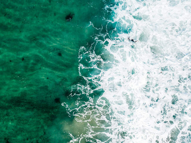 Vue aérienne d'un canard surfeur plongeur, Barwon Heads, Péninsule Bellarine, Victoria, Australie — Photo de stock