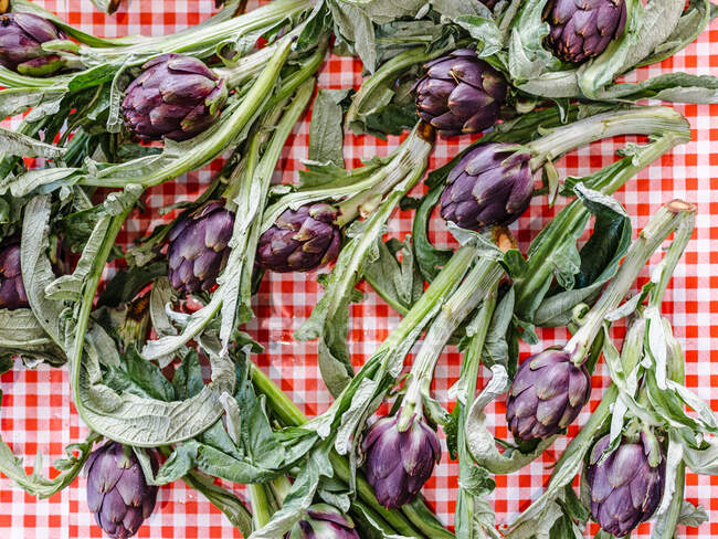Las alcachofas frescas sobre la mesa, Italia - foto de stock