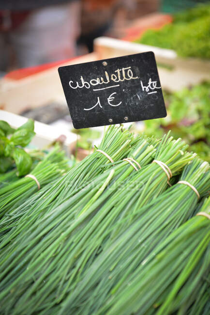 Primo piano dell'erba cipollina in vendita in un mercato, Francia — Foto stock