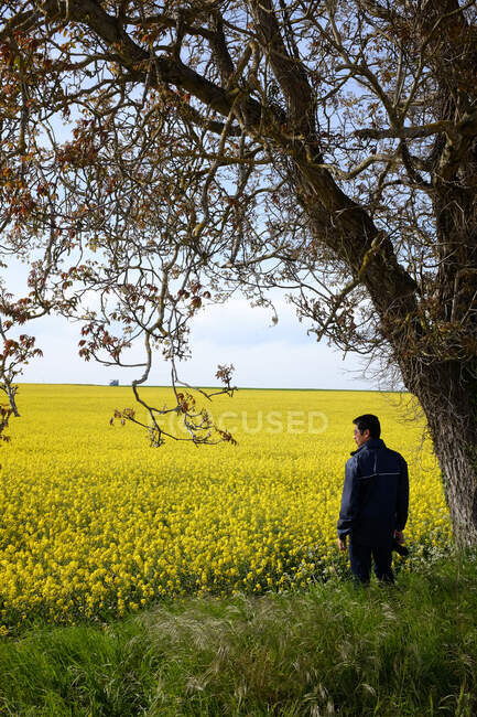 Man standing by a rapeseed field, Niort, Deux-Sevres, Nouvelle-Aquitaine, France — Foto stock