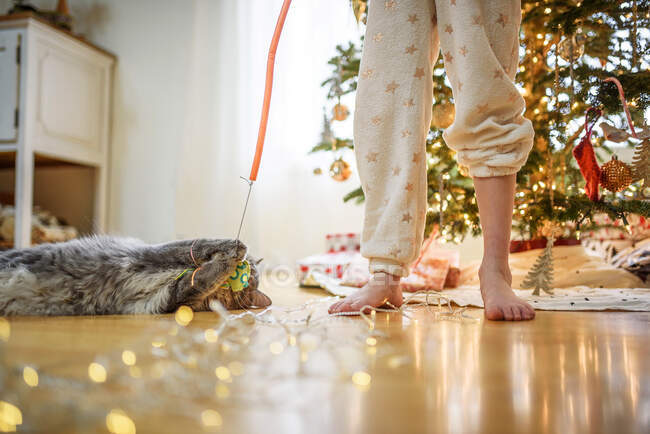 Girl and her cat playing with a cat wand toy at Christmas — Stock Photo