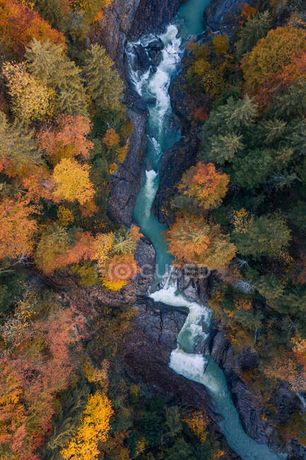 Luftaufnahme eines durch einen Herbstwald fließenden Flusses, Salzburg, Österreich — Stockfoto