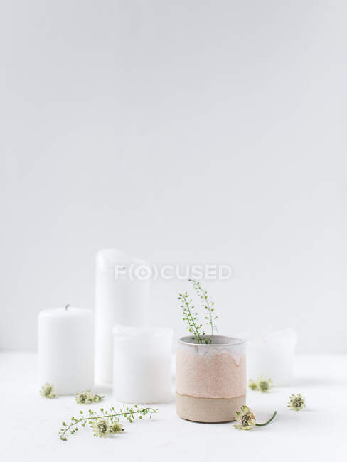 Velas y flores silvestres en un jarrón de cerámica - foto de stock