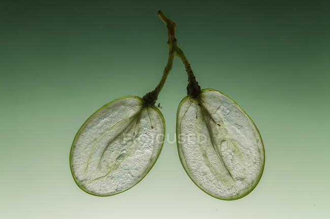 Vista transversal de duas uvas verdes — Fotografia de Stock