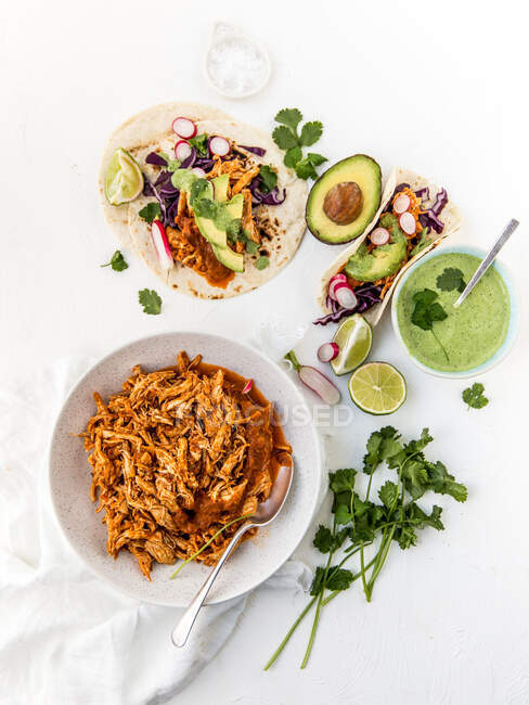 Tortilla-Wrap mit Huhn, Avocado, Gemüse und Soßen — Stockfoto