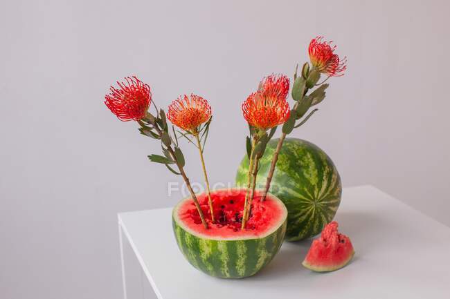 Protea Blumenarrangement in einer Wassermelone — Stockfoto