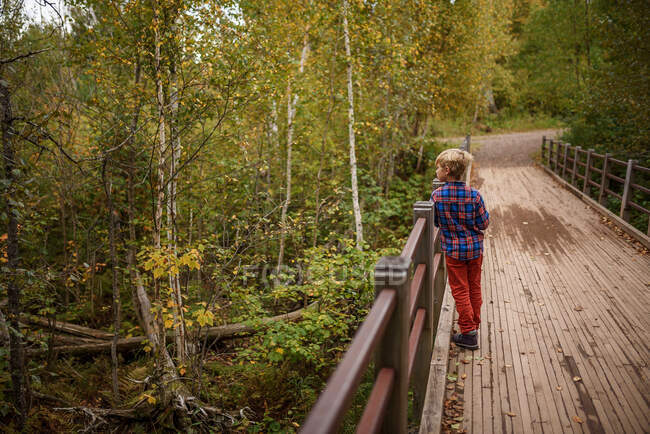 Мальчик стоит на мосту в лесу, США — стоковое фото